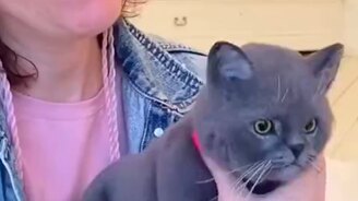 Игрушка как живая - смотреть видео (0:42)