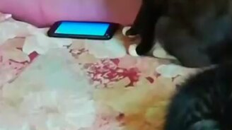 Современная мать - смотреть видео (0:10)