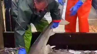 Лишний улов оказался - смотреть видео (0:34)