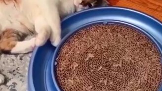 Настроение зависания - смотреть видео (0:15)