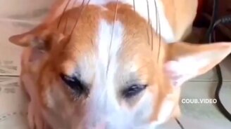 Головка, не боли - смотреть видео (0:10)