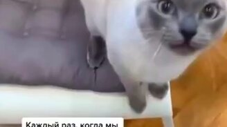 Дай мне все консервы - смотреть видео (0:33)