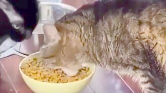 А мне больше достанется - смотреть видео (0:14)