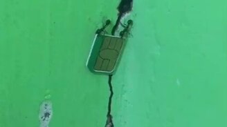 Связь - в каждый дом? - смотреть видео (0:10)