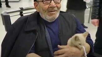 Старик спас котёнка из пожара - смотреть видео (1:56)