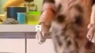 Про девушку на диете - смотреть видео (0:13)