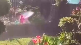 Какой дикий полив - смотреть видео (0:34)