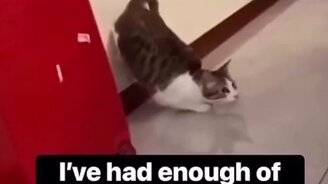 Взял разгон как следует - смотреть видео (0:06)