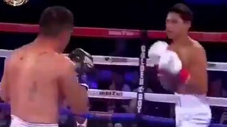 Отличный боксёр - смотреть видео (0:53)