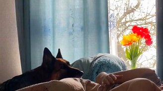 Не трогай моего хозяина - смотреть видео (0:13)