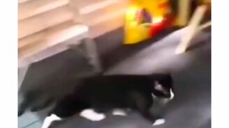 Когда пытаешься уйти с работы пораньше - смотреть видео (0:05)