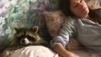 Продолжай меня гладить - смотреть видео (0:15)