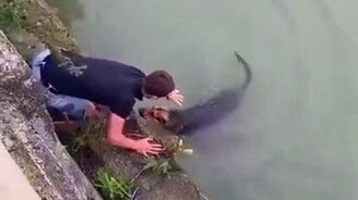 Пёс поблагодарил людей за своё спасение - смотреть видео (1:00)