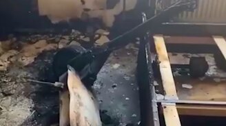 Взрыва электросамоката - смотреть видео (1:35)