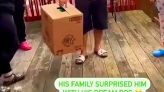 Трогательный именинник - смотреть видео (0:27)