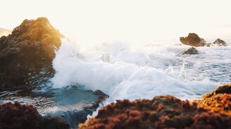 Успокоение нервной системы под звуки природы - смотреть видео (21:11)