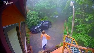 Миша залез в "Лексус" - смотреть видео (0:24)