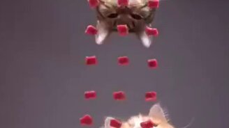 Когда ты не целеустремлён - смотреть видео (0:21)