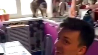 Привела парня домой - смотреть видео (0:16)