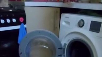 Поиграли в прятки - смотреть видео (0:24)