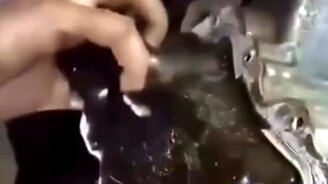 Если долго не менять масло в моторе - смотреть видео (1:00)