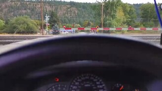 Слабоумие и слабоумие - смотреть видео (0:13)