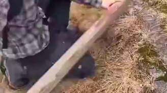 Как надёжно спрятать лестницу - смотреть видео (0:09)