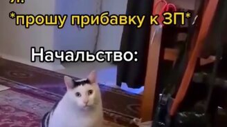 Когда попросил прибавить зарплату - смотреть видео (0:11)