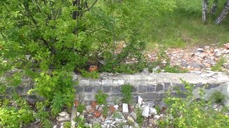 Заброшенный пионерский лагерь "Звёздный" - смотреть видео (24:08)