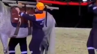 Спасатели года - смотреть видео (0:33)