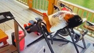 Даже тренажёр её не выдерживает - смотреть видео (0:12)