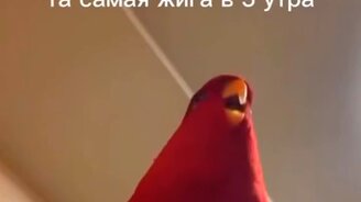 "Жигули" в пять утра за окном - смотреть видео (0:10)