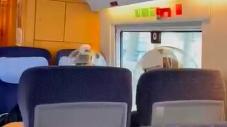 Теперь корона точно не пройдёт - смотреть видео (0:18)