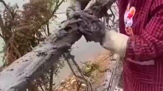 Перила под дерево из железа - смотреть видео (0:31)