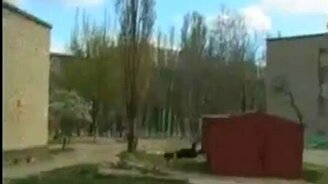 Болезненный прыжок - смотреть видео (0:15)