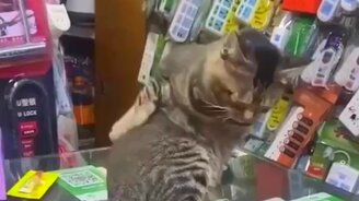 Когда не достаёшь до своей спины языком - смотреть видео (0:07)