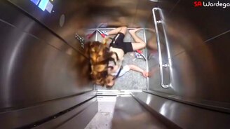 Костюм паука для собаки - смотреть видео (0:33)