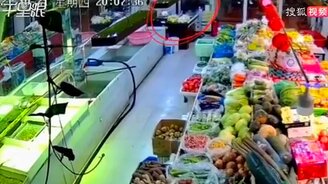 Да сиди ты в аквариуме! - смотреть видео (0:14)