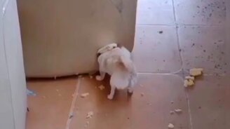 Скрылась в диване - смотреть видео (0:09)