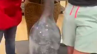 Засунул руку в вазу - смотреть видео (0:56)