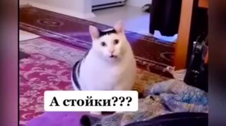 Когда предложила мужу заказать еду на дом - смотреть видео (0:10)