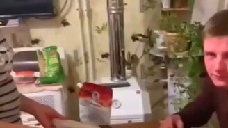 Когда любишь зятя как родного - смотреть видео (0:14)