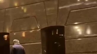 Собака захотела разнообразия - смотреть видео (0:34)