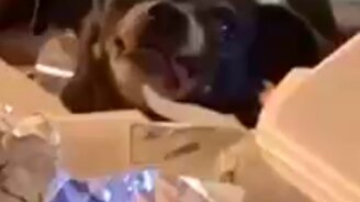 Девушка на диете в кафе - смотреть видео (0:10)