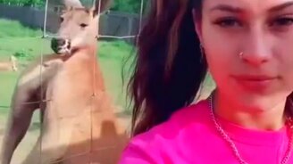 Глядите на мои бицепсы! - смотреть видео (0:14)