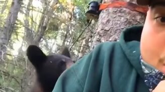 Встреча с медведем лицом к лицу - смотреть видео (1:00)