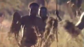 Обезьяны убегают на кабане - смотреть видео (1:09)