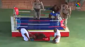 Смешной бой обезьян - смотреть видео (2:51)