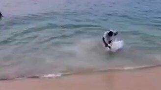 Вошёл лбом в песок - смотреть видео (0:13)