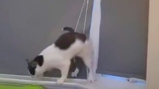 Безнадёжно запутался - смотреть видео (0:29)